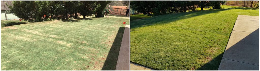 Weedtech_lawn_comparison_aerate_coring